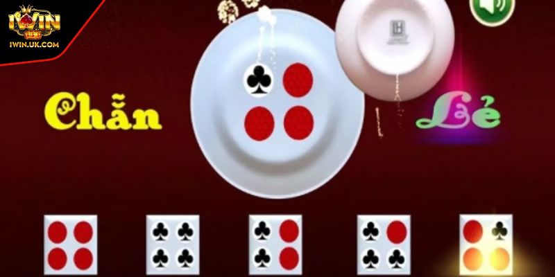 Phân tích vị trí các đồng xu 